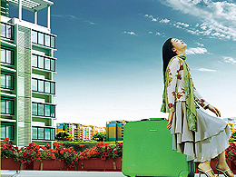 ����.����365